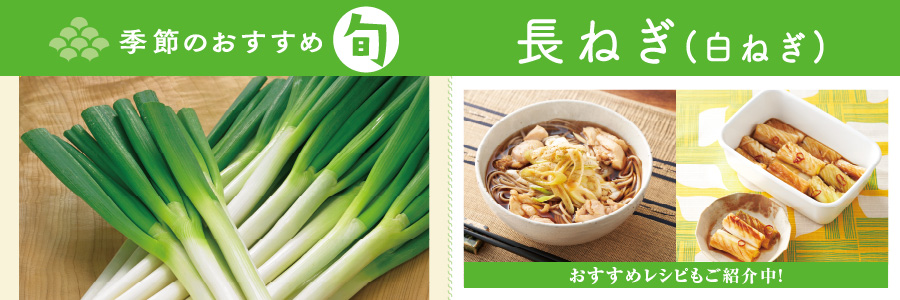 長ねぎ(白ねぎ)