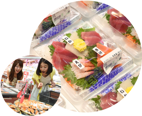 Sushi & Fish