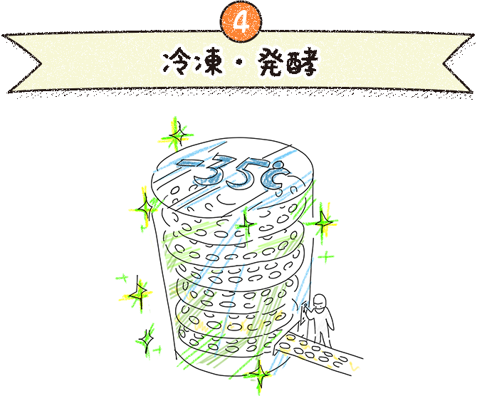 4 冷凍・発酵