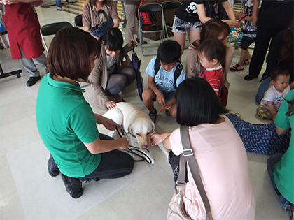 『補助犬ふれあい教室』の様子