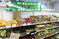 国産野菜コーナー