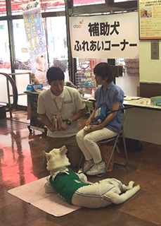 『補助犬（盲導犬）ふれあいコーナー』の様子