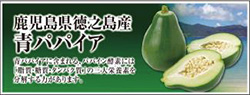 ダイエー『31日は菜の日』の取り組みについて