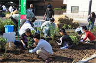 「イオンふるさとの森づくり」植樹祭の開催