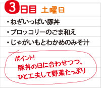3日目　ねぎいっぱい豚丼の献立