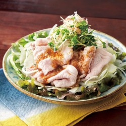豚しゃぶの薬味まみれ