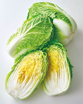 白菜