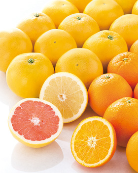 オレンジ・グレープフルーツ