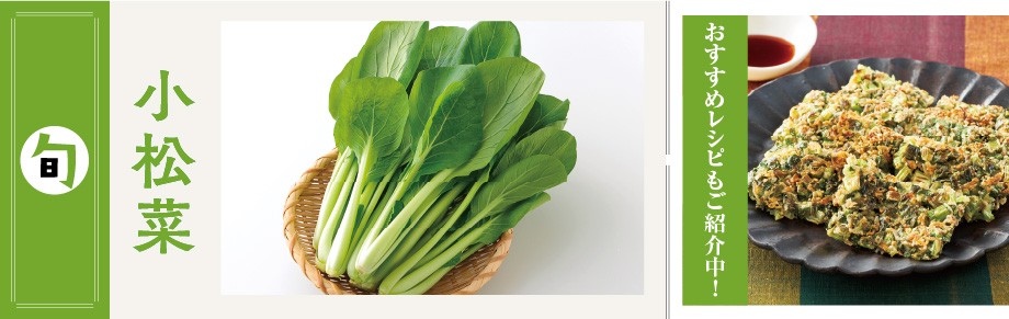 2026年1月の食材　 小松菜 小松菜
