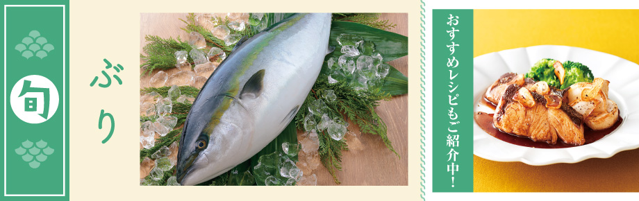 2023年12月旬の食材　ぶり ぶり