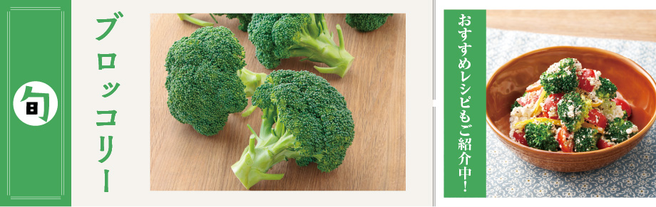2025年11月の食材　 ブロッコリー ブロッコリー