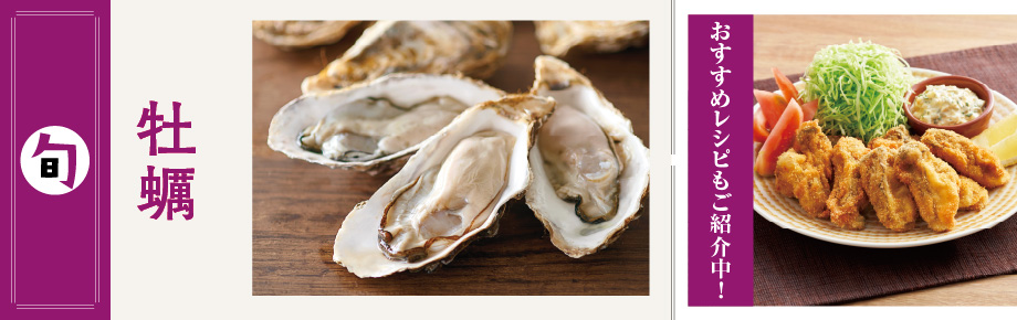 2025年11月旬の食材　牡蠣 牡蠣