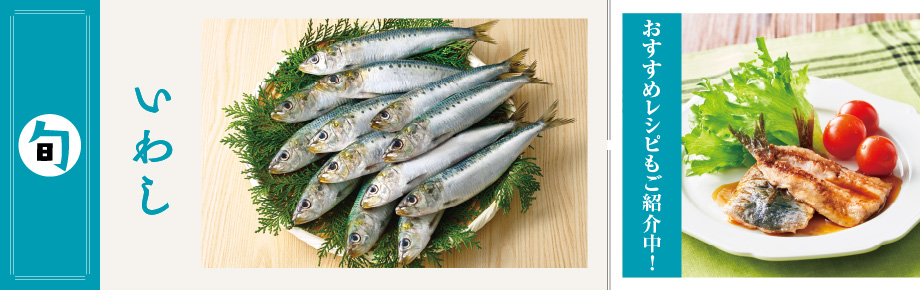 2025年6月旬の食材　いわし いわし