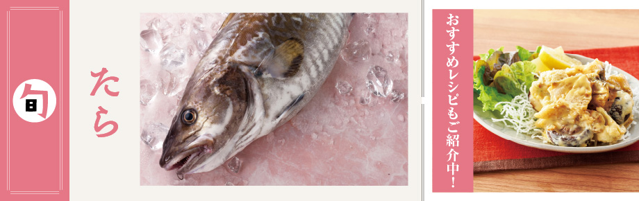 2026年1月の食材　たら たら
