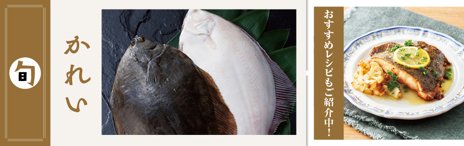 2026年2月の食材　かれい かれい