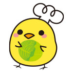春キャベツ