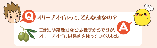 Q：オリーブオイルって、どんな油なの？　A：ごま油や菜種油などは種子からですが、オリーブオイルは果肉を搾ってつくります。