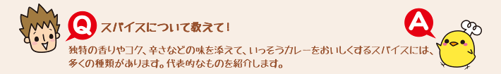 Q.スパイスについて教えて！ A.独特の香りやコク、辛さなどの味を添えて、いっそうカレーをおいしくするスパイスには、
多くの種類があります。代表的なものを紹介します。