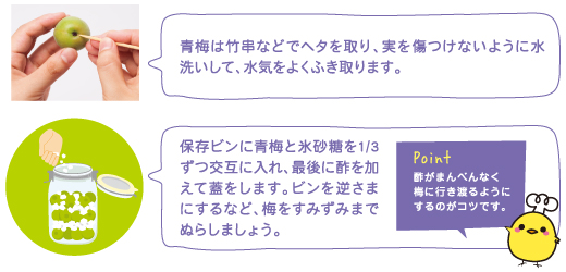 青梅は竹串などでヘタを取り、実を傷つけないように水洗いして、水気をよく拭き取ります。保存便に青梅と氷砂糖を1/3ずつ交互に入れ、最後に酢を加えて蓋をします。ビンを逆さまにするなど、梅をすみずみまでぬらしましょう。