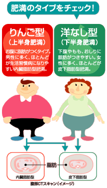 肥満のタイプをチェック!