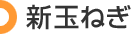 新玉ねぎ