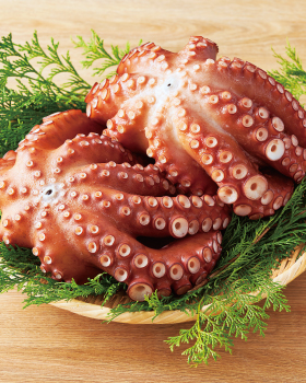たこ 真だこ 旬の食材 ダイエー ごはんがおいしくなるスーパー
