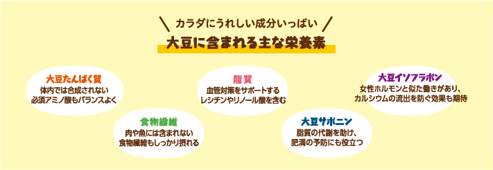 大豆に含まれる主な栄養素