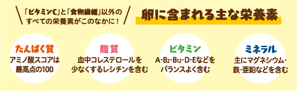卵に含まれる主な栄養素