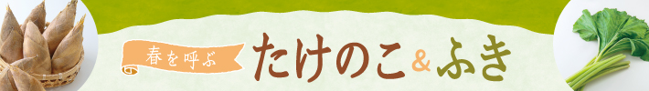 春を呼ぶ たけのこ＆ふき