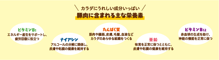 豚肉に含まれる主な栄養素
