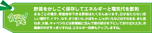 野菜をかしこく保存してエネルギーと電気代を節約