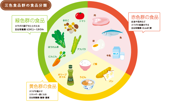 食品分類