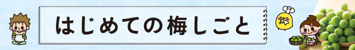 はじめての梅しごと