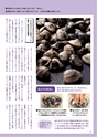 dai-docoro2019　2月号