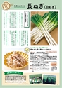 ダイエー dai-docoro2019/11月号