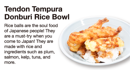 Tendon Tempura Donburi Rice Bowl