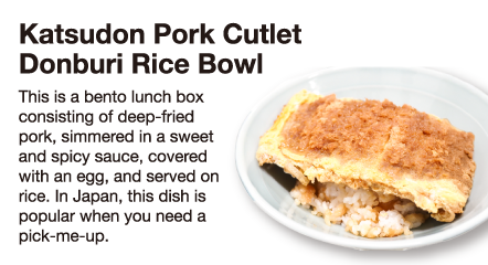 Katsudon Pork Cutlet Donburi Rice Bowl