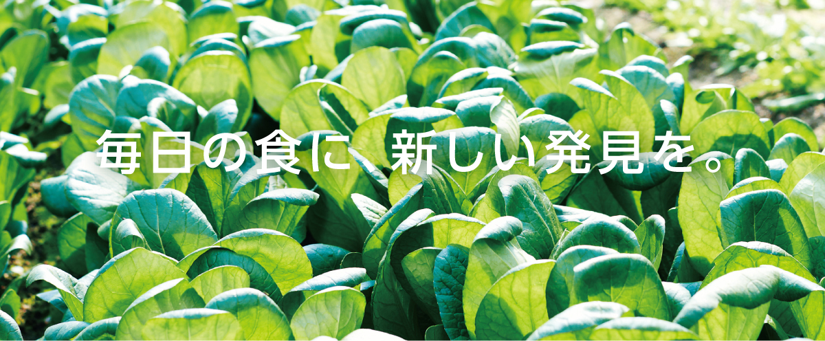 FoodStyle 背景ビジュアル