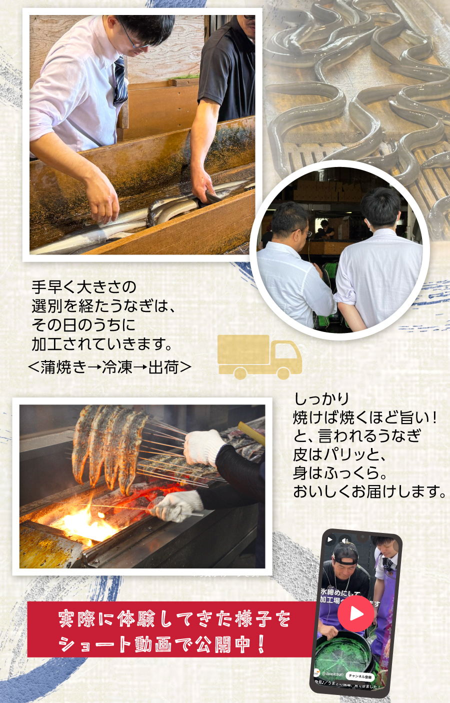 水産バイヤーが「うまさの現場」を見てきました！ショート動画公開中