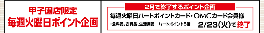 甲子園店限定 毎週火曜日ポイント企画
