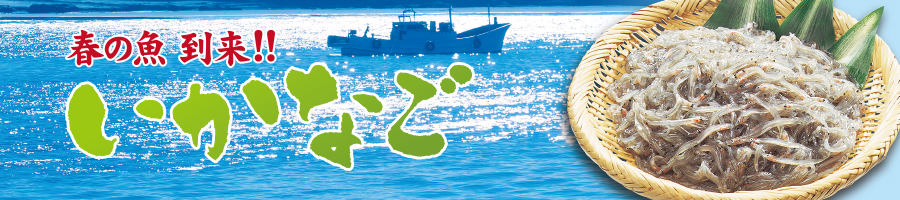 春の魚 到来！！いかなご