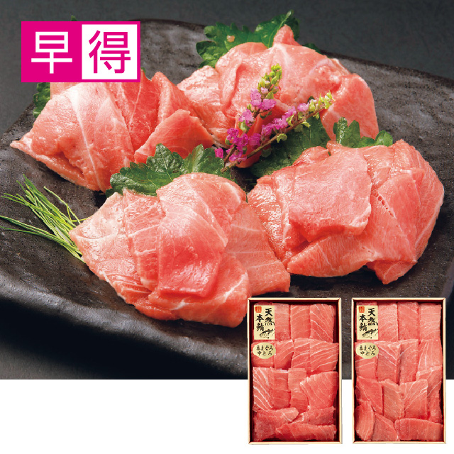 天然本まぐろ 中とろ入り切りおとし