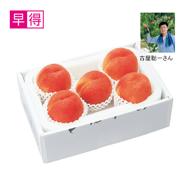 山梨県一宮町産　自信作古屋聡一さんの桃（白桃種）