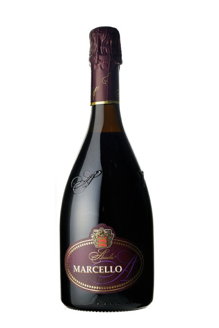 ランブルスコ　マルチェッロ 01